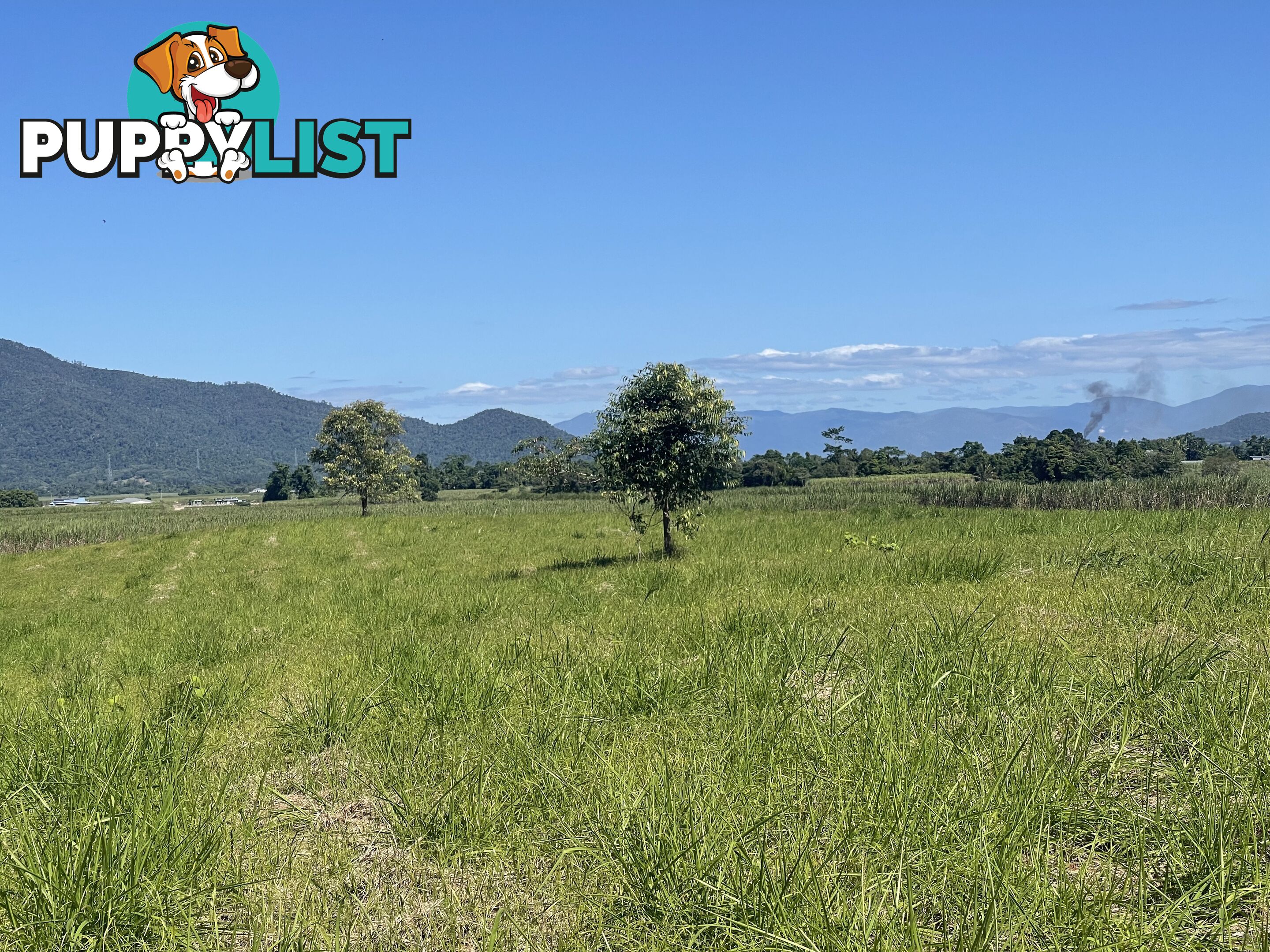 LOT 207 Old Tully Rd Djarawong QLD 4854