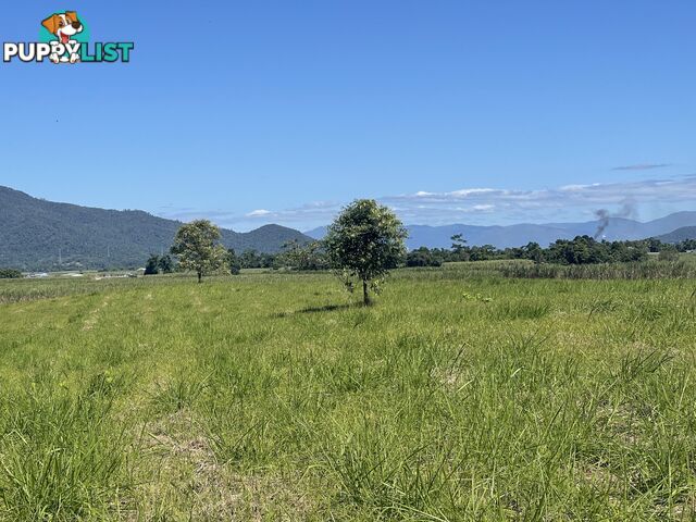 LOT 207 Old Tully Rd Djarawong QLD 4854