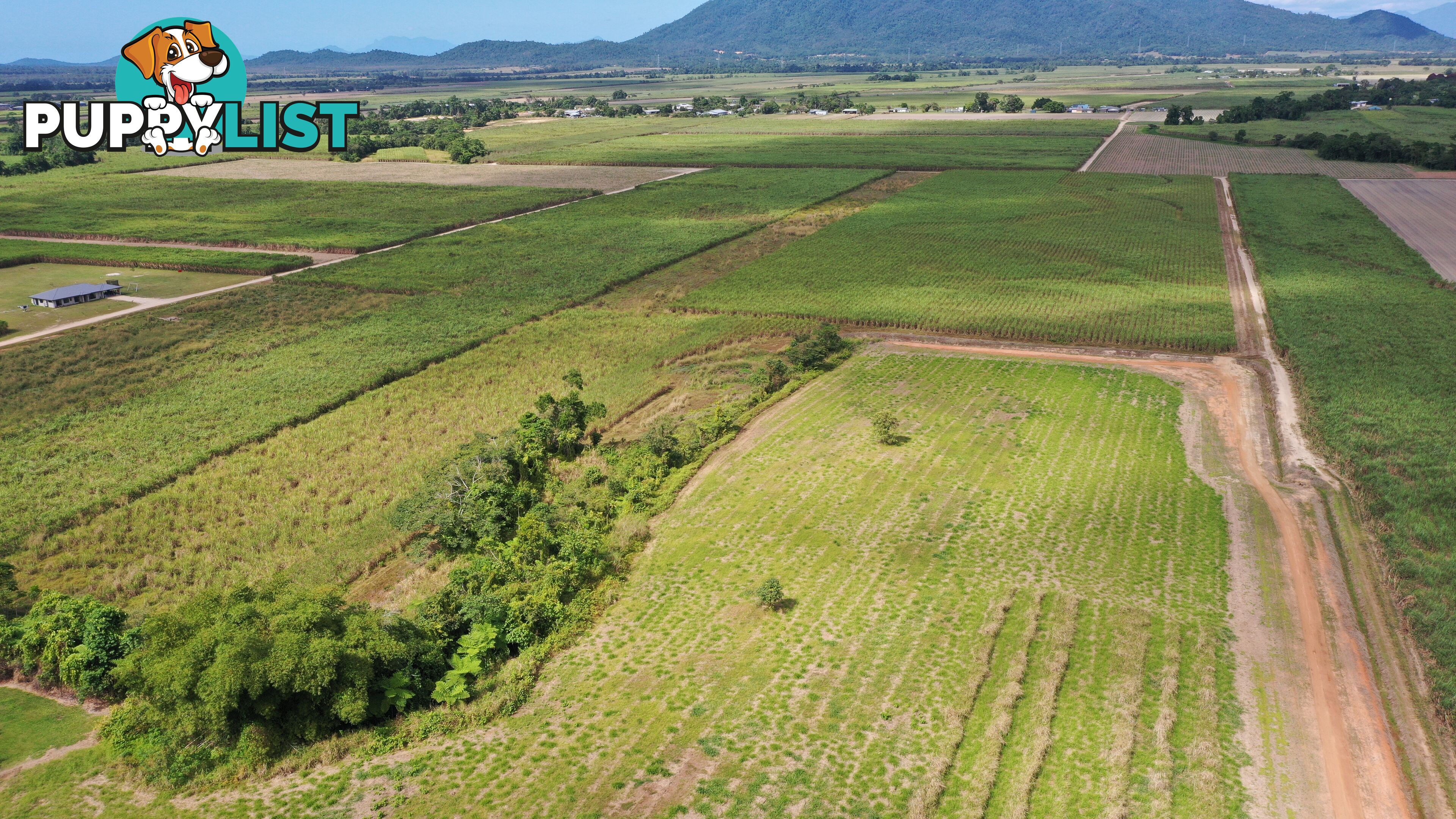 LOT 207 Old Tully Rd Djarawong QLD 4854