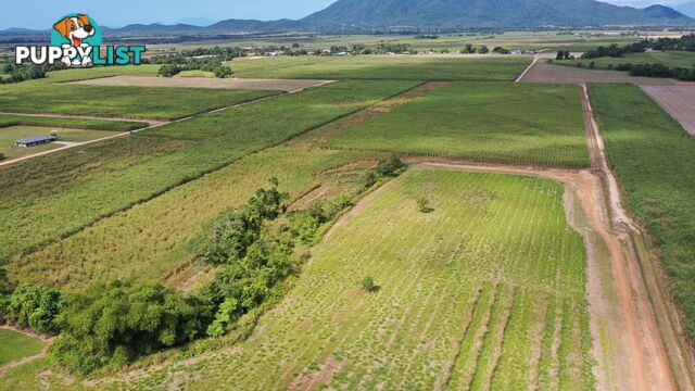 LOT 207 Old Tully Rd Djarawong QLD 4854