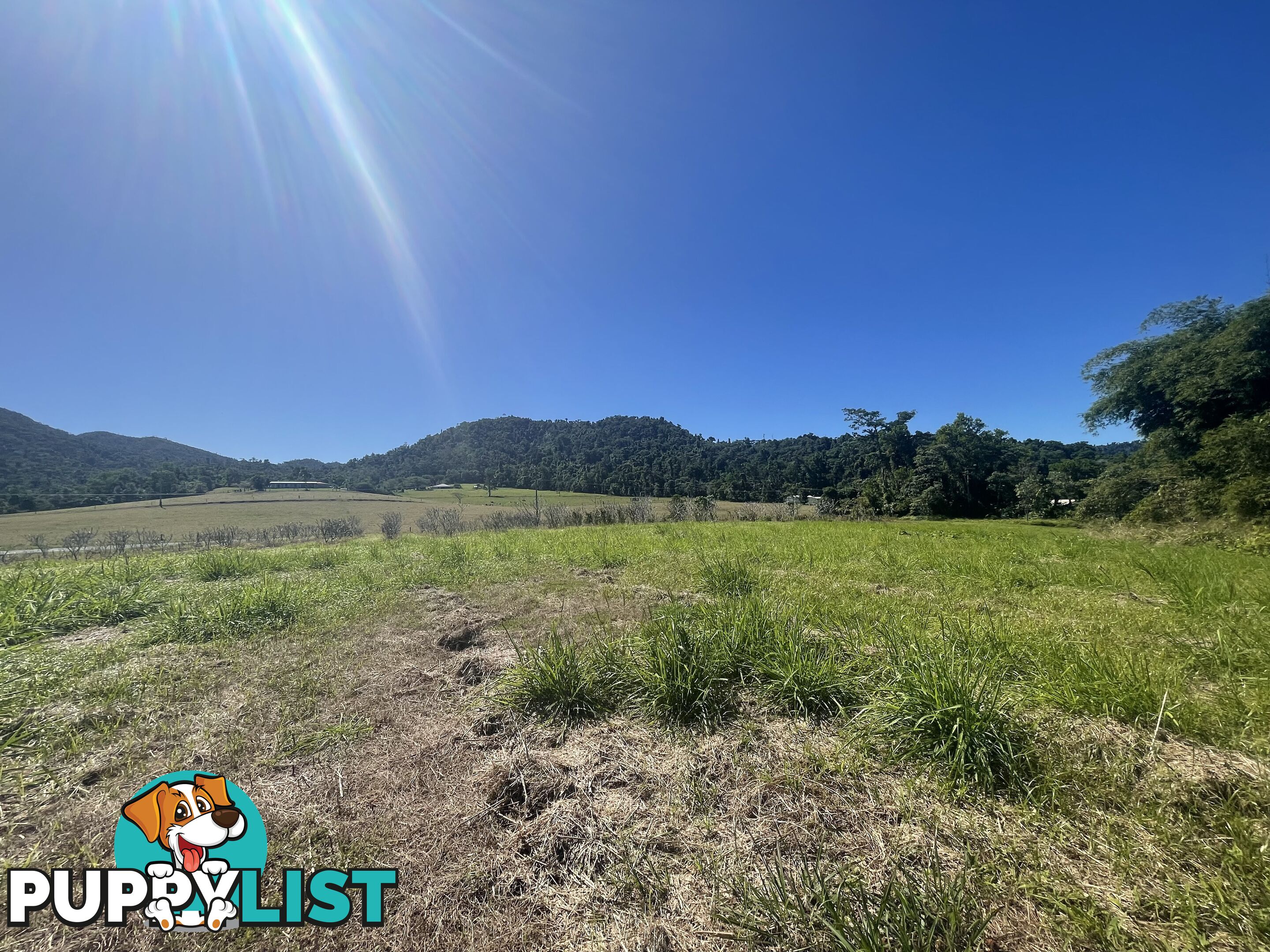 LOT 207 Old Tully Rd Djarawong QLD 4854