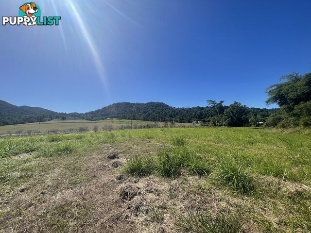 LOT 207 Old Tully Rd Djarawong QLD 4854