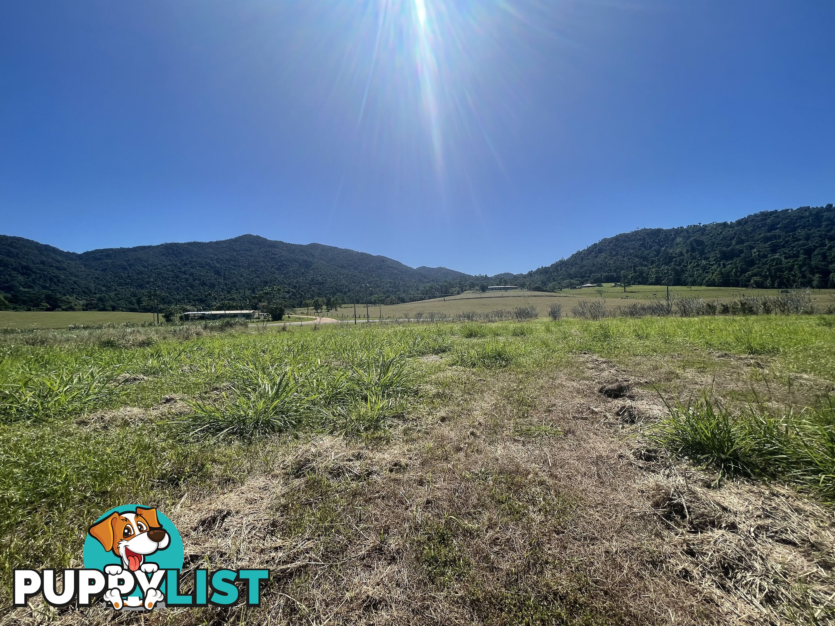 LOT 207 Old Tully Rd Djarawong QLD 4854