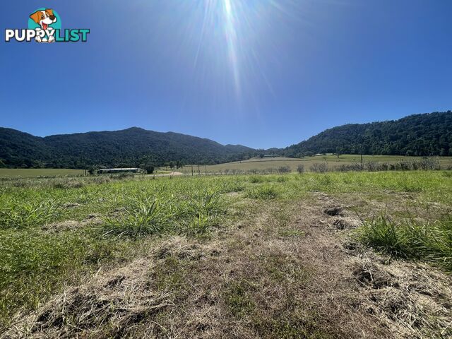 LOT 207 Old Tully Rd Djarawong QLD 4854