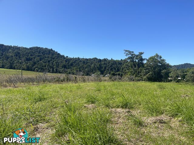 LOT 207 Old Tully Rd Djarawong QLD 4854