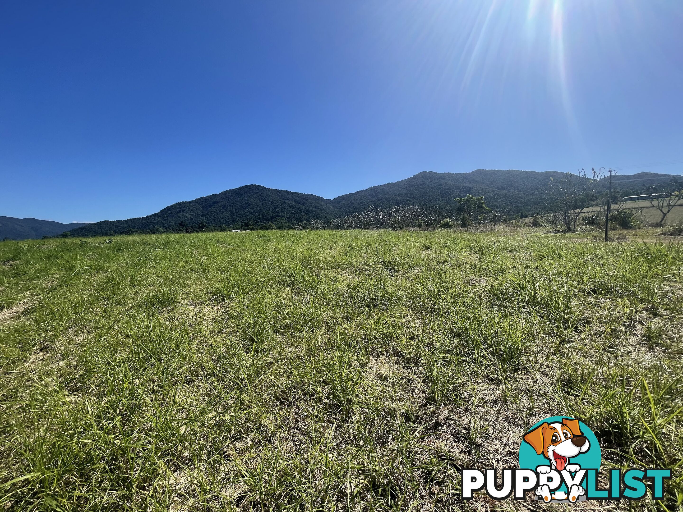 LOT 207 Old Tully Rd Djarawong QLD 4854