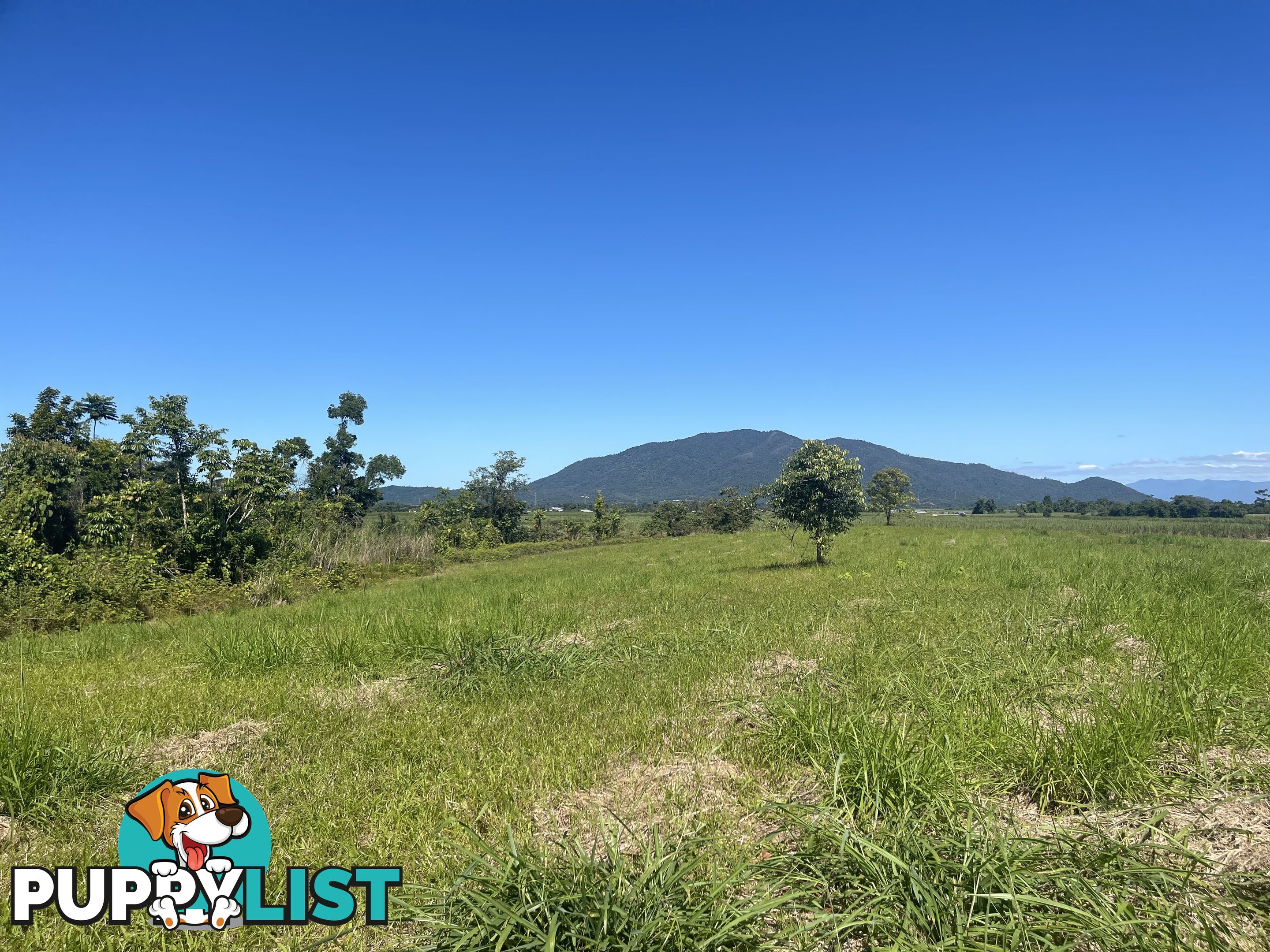 LOT 207 Old Tully Rd Djarawong QLD 4854