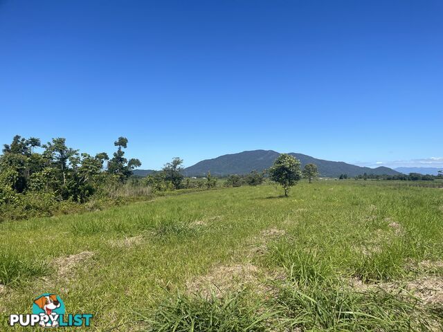 LOT 207 Old Tully Rd Djarawong QLD 4854