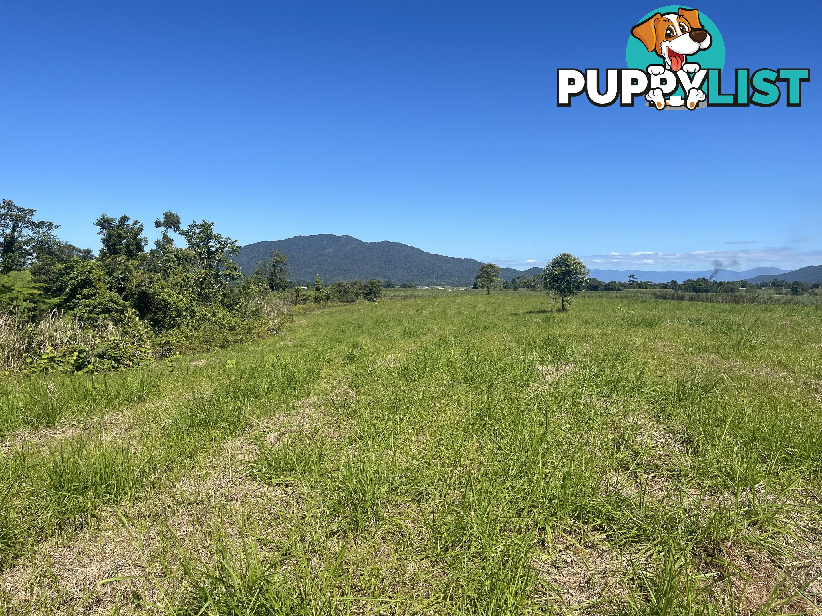 LOT 207 Old Tully Rd Djarawong QLD 4854