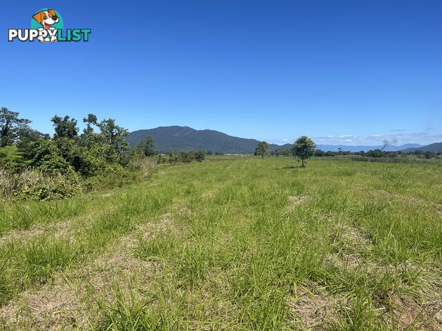 LOT 207 Old Tully Rd Djarawong QLD 4854