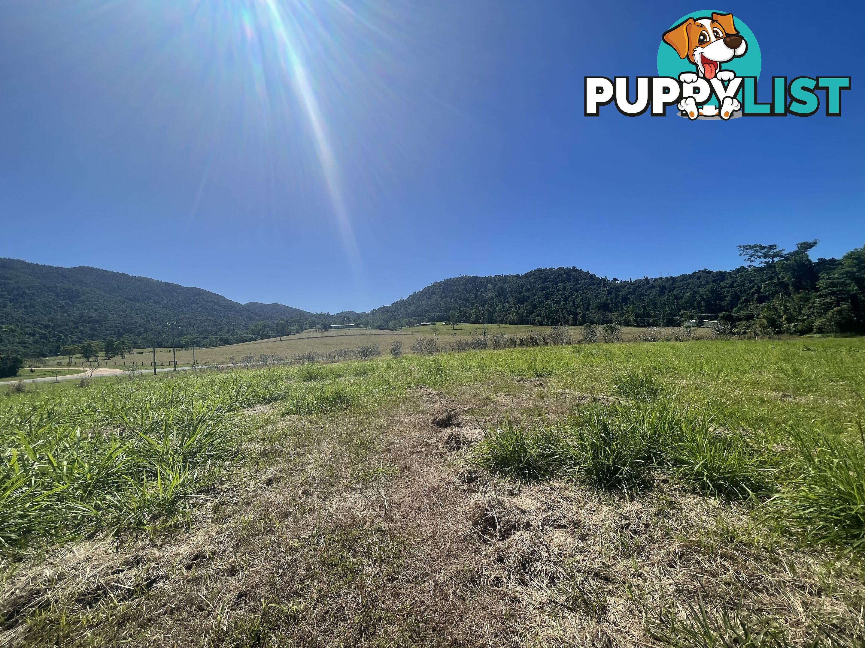 LOT 207 Old Tully Rd Djarawong QLD 4854