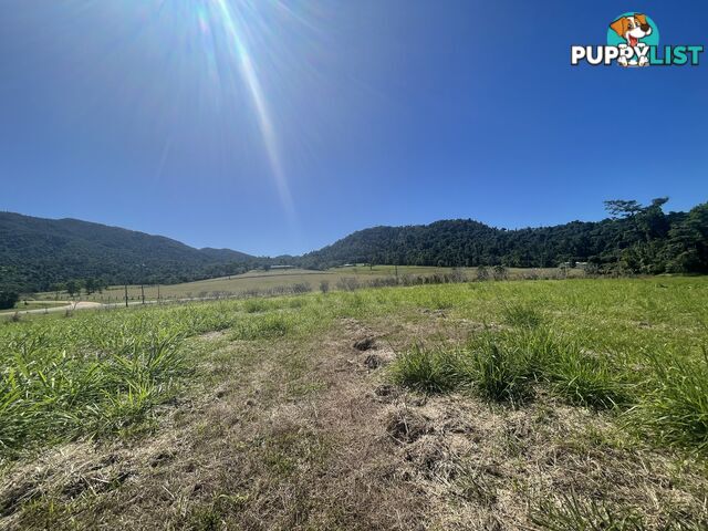 LOT 207 Old Tully Rd Djarawong QLD 4854