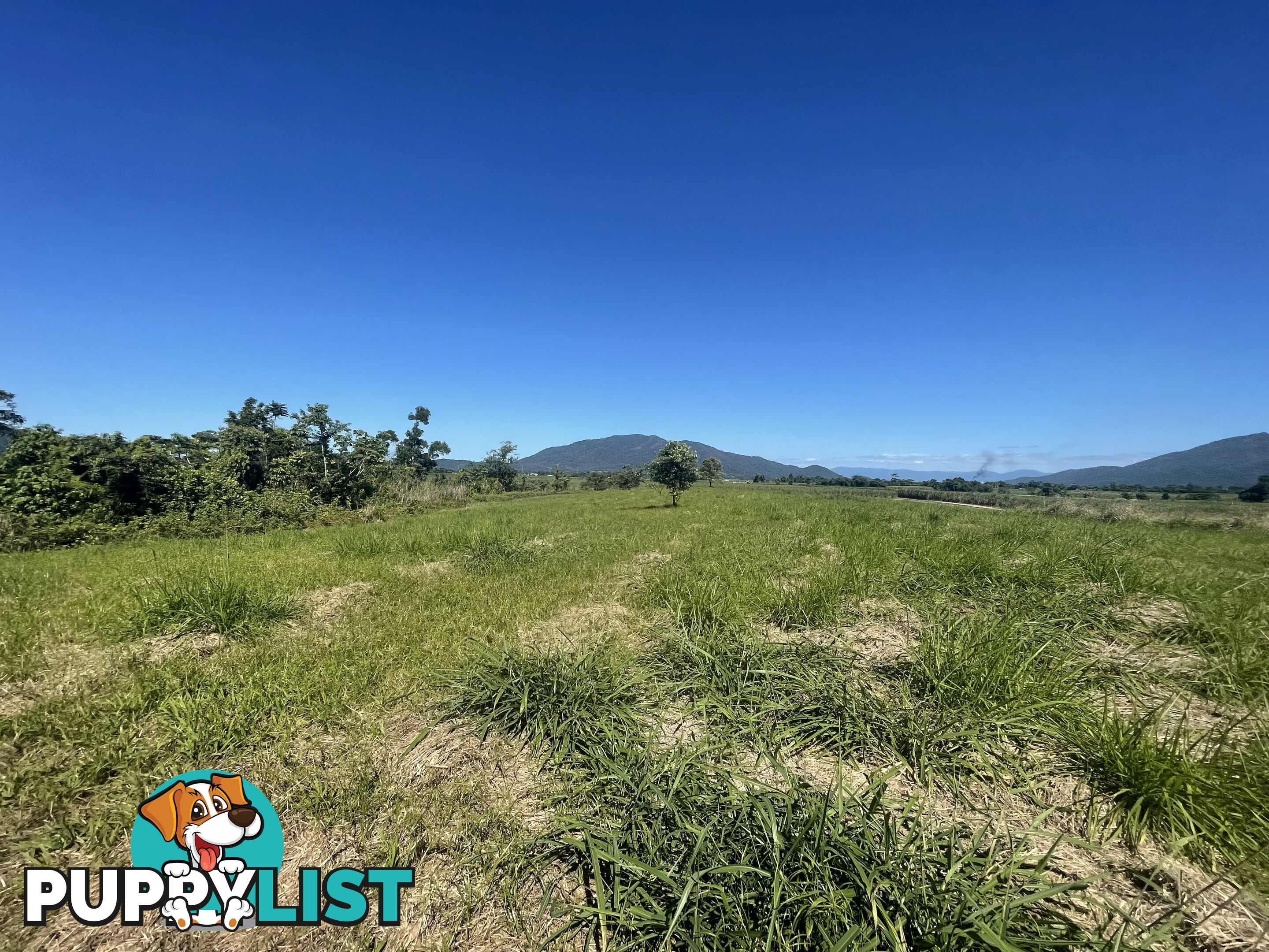 LOT 207 Old Tully Rd Djarawong QLD 4854