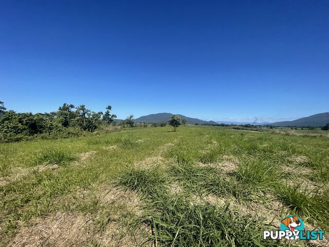 LOT 207 Old Tully Rd Djarawong QLD 4854