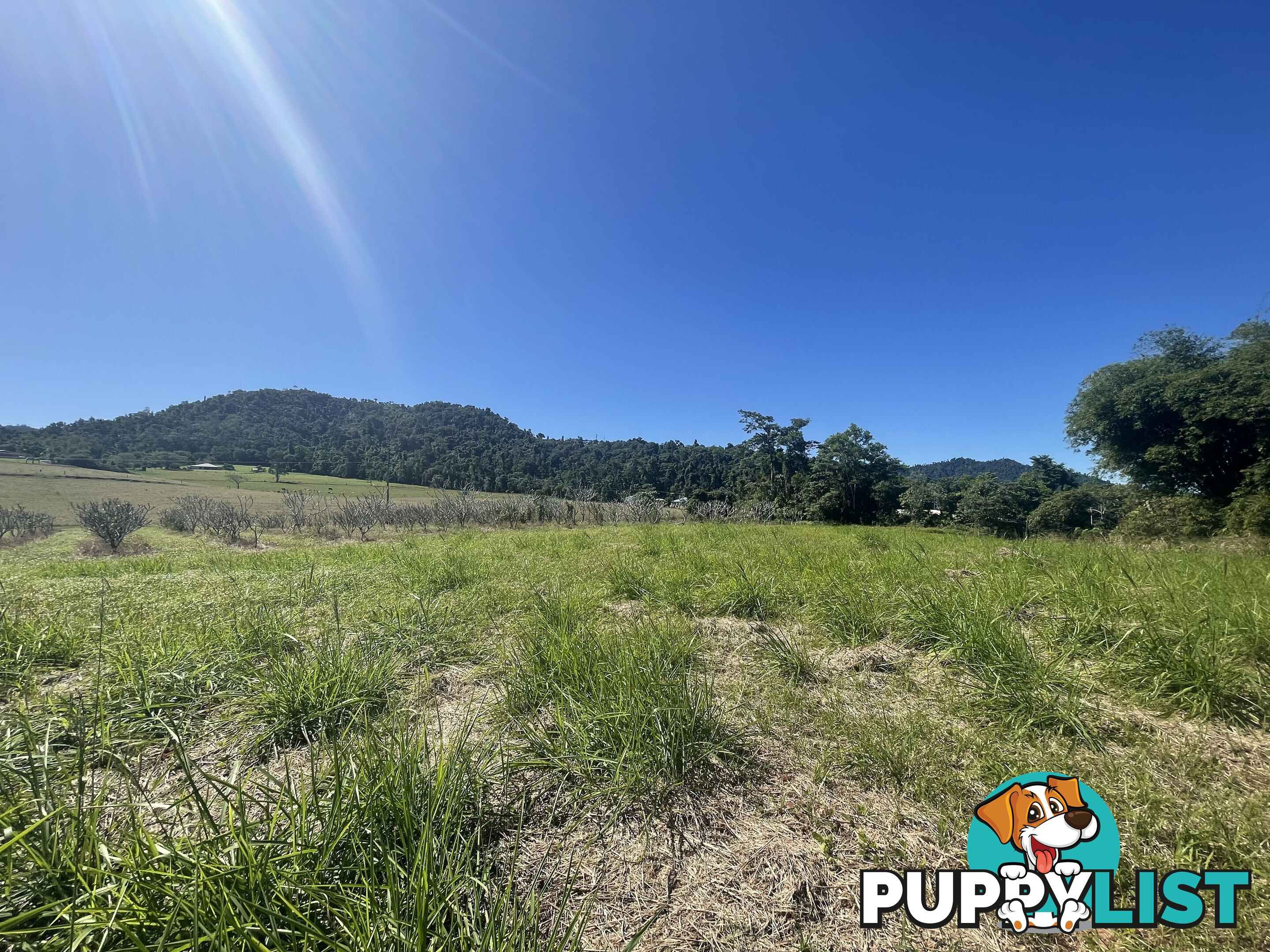 LOT 207 Old Tully Rd Djarawong QLD 4854