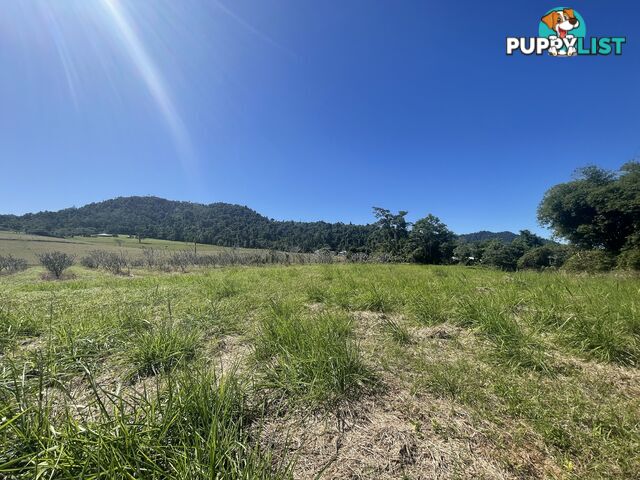 LOT 207 Old Tully Rd Djarawong QLD 4854