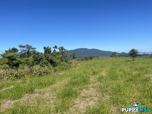 LOT 207 Old Tully Rd Djarawong QLD 4854