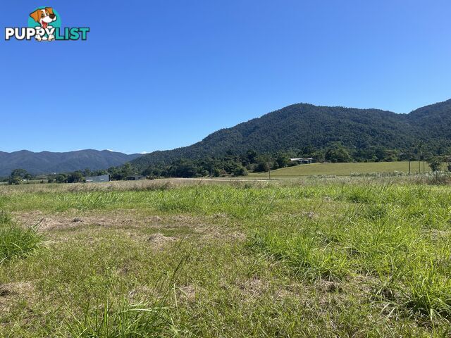 LOT 207 Old Tully Rd Djarawong QLD 4854