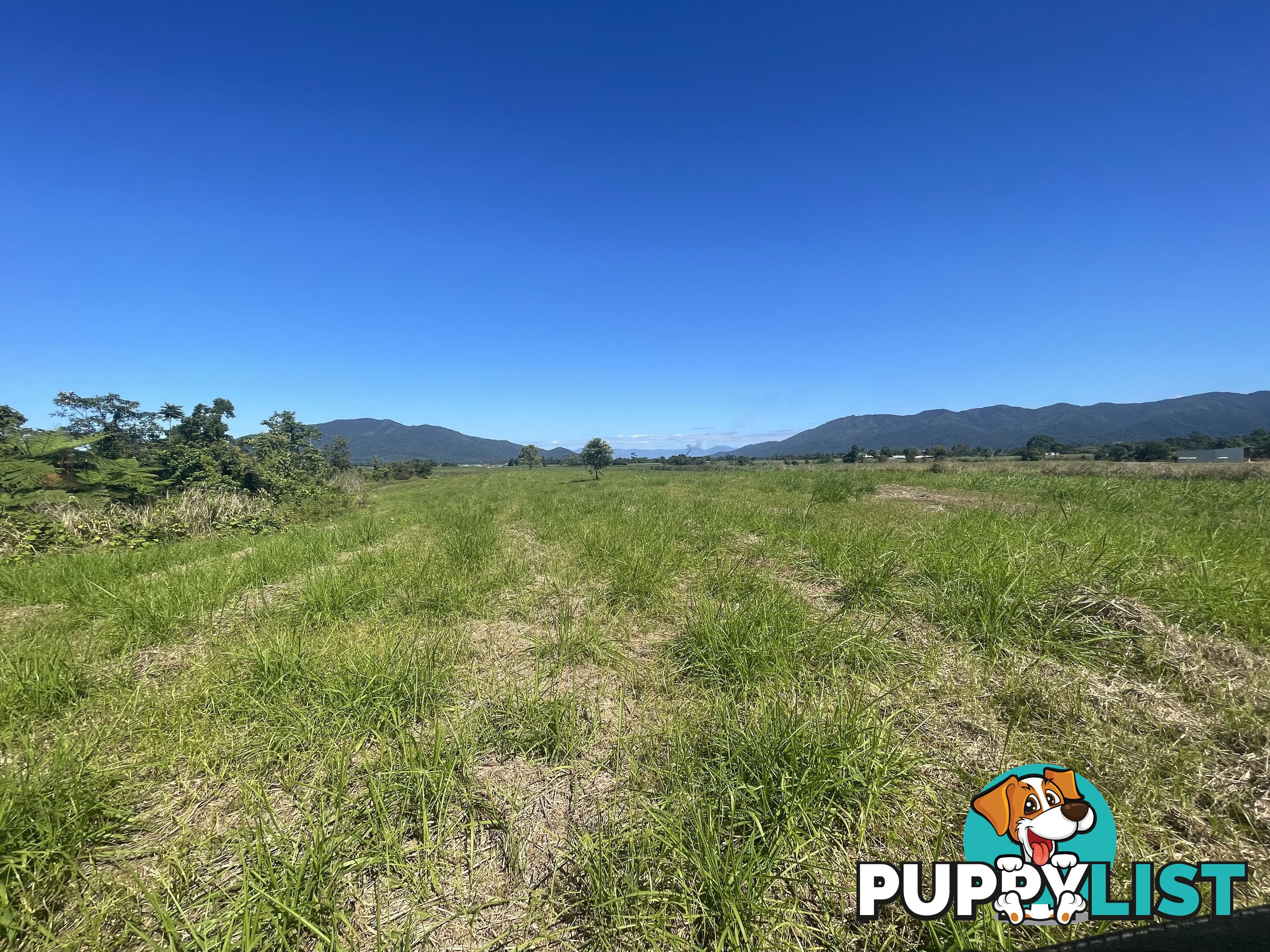 LOT 207 Old Tully Rd Djarawong QLD 4854