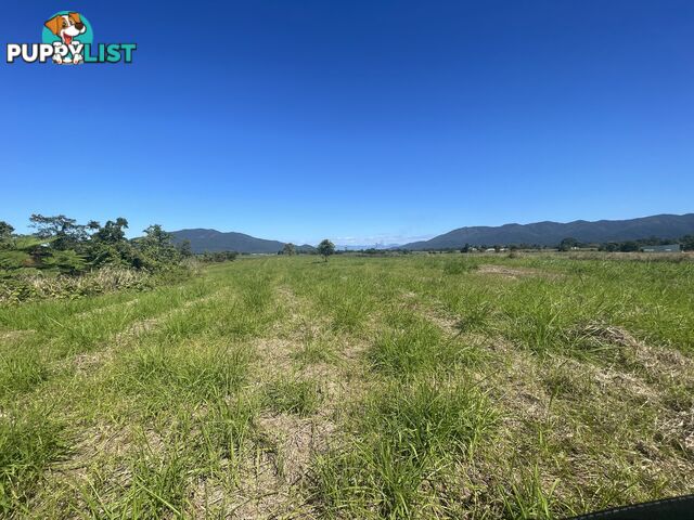 LOT 207 Old Tully Rd Djarawong QLD 4854