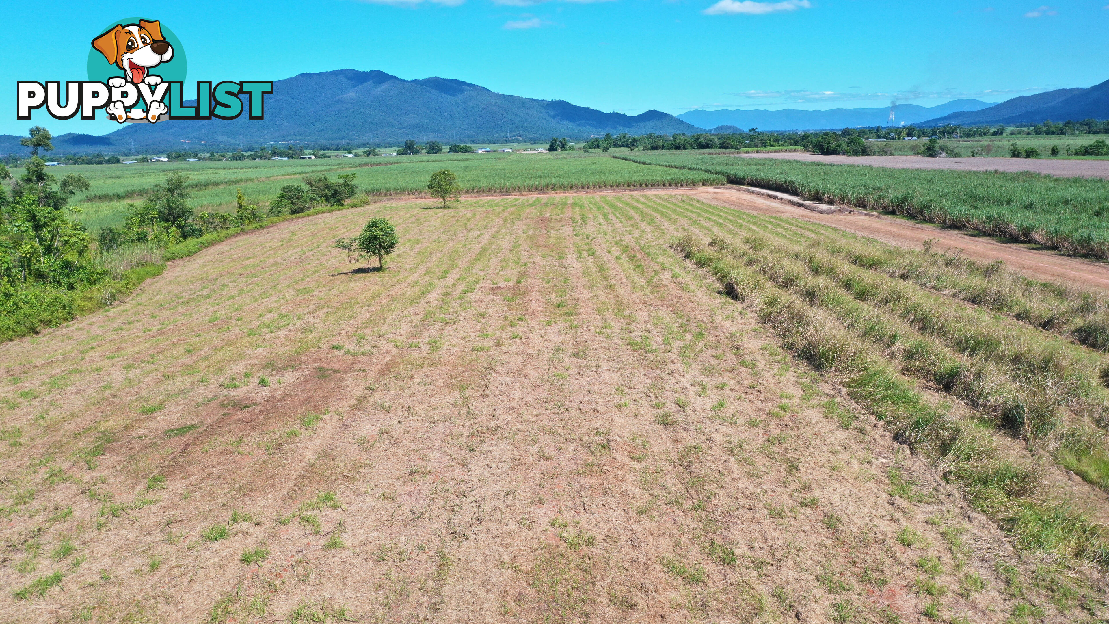 LOT 207 Old Tully Rd Djarawong QLD 4854