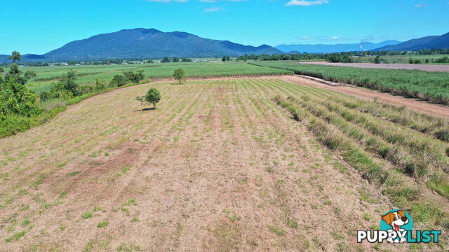 LOT 207 Old Tully Rd Djarawong QLD 4854