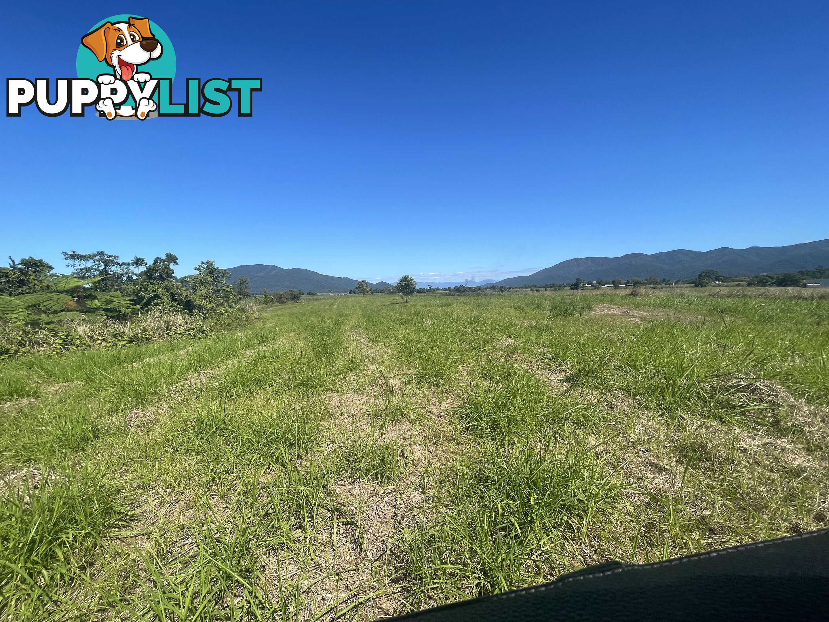 LOT 207 Old Tully Rd Djarawong QLD 4854