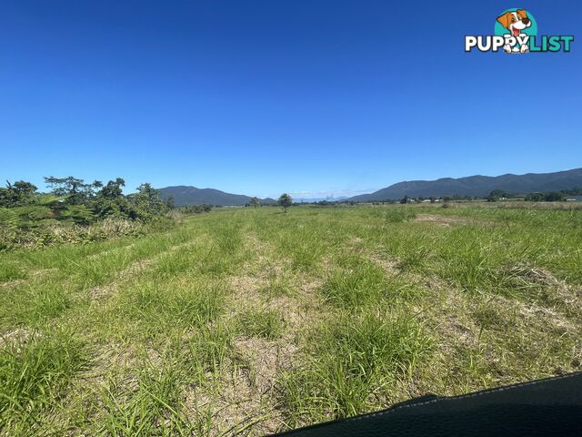 LOT 207 Old Tully Rd Djarawong QLD 4854