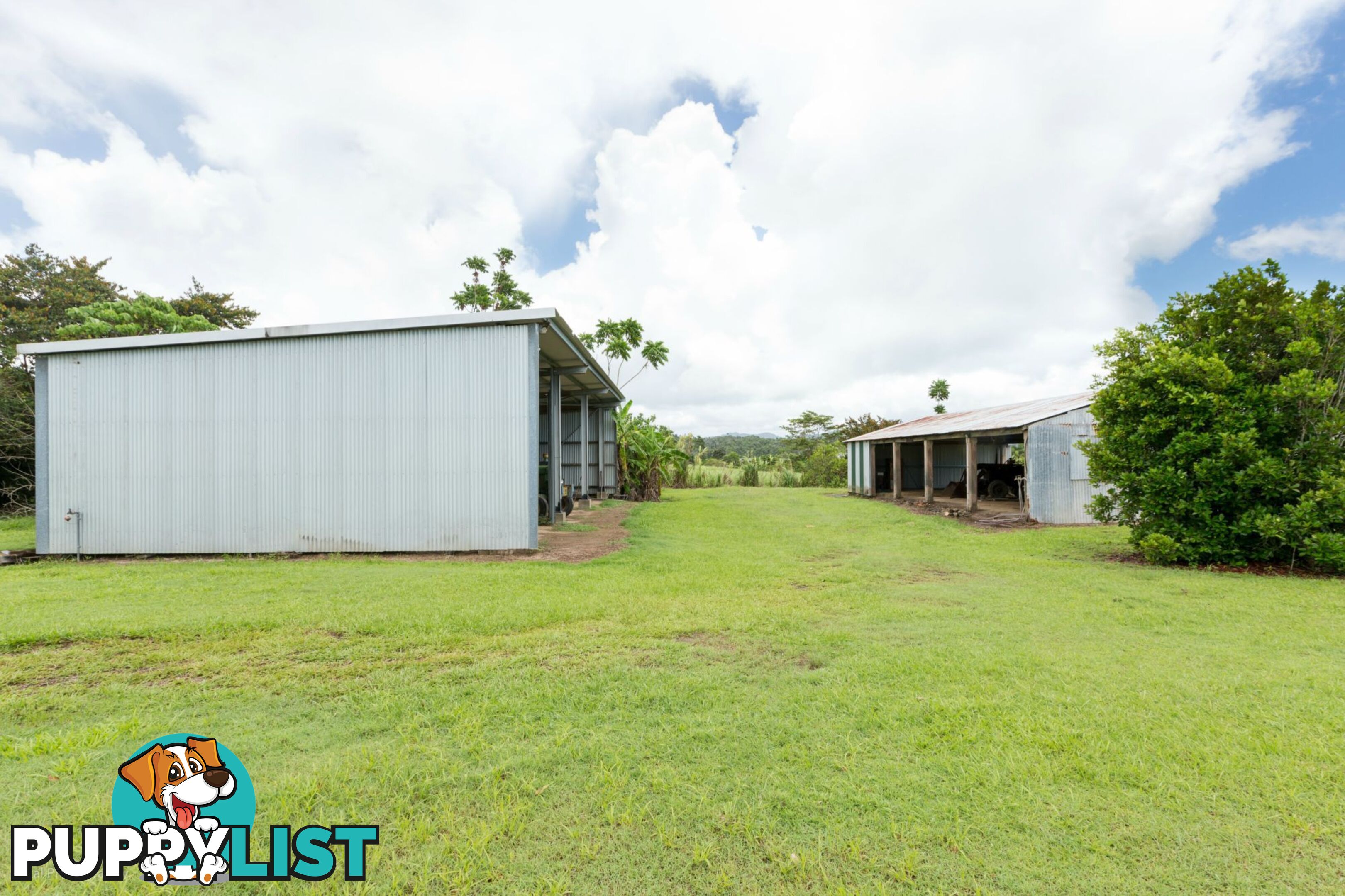 74 No 4 Branch Road, No4 Branch Silkwood QLD 4856