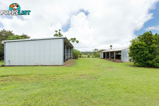 74 No 4 Branch Road, No4 Branch Silkwood QLD 4856