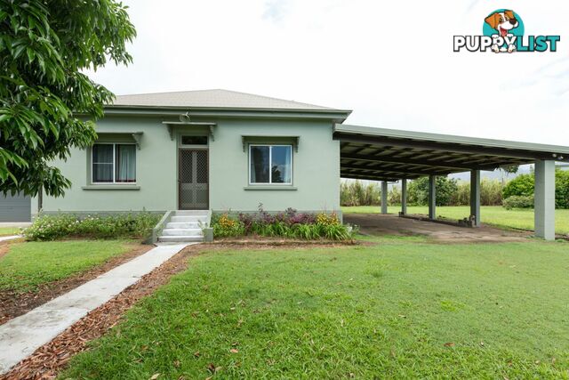 74 No 4 Branch Road, No4 Branch Silkwood QLD 4856