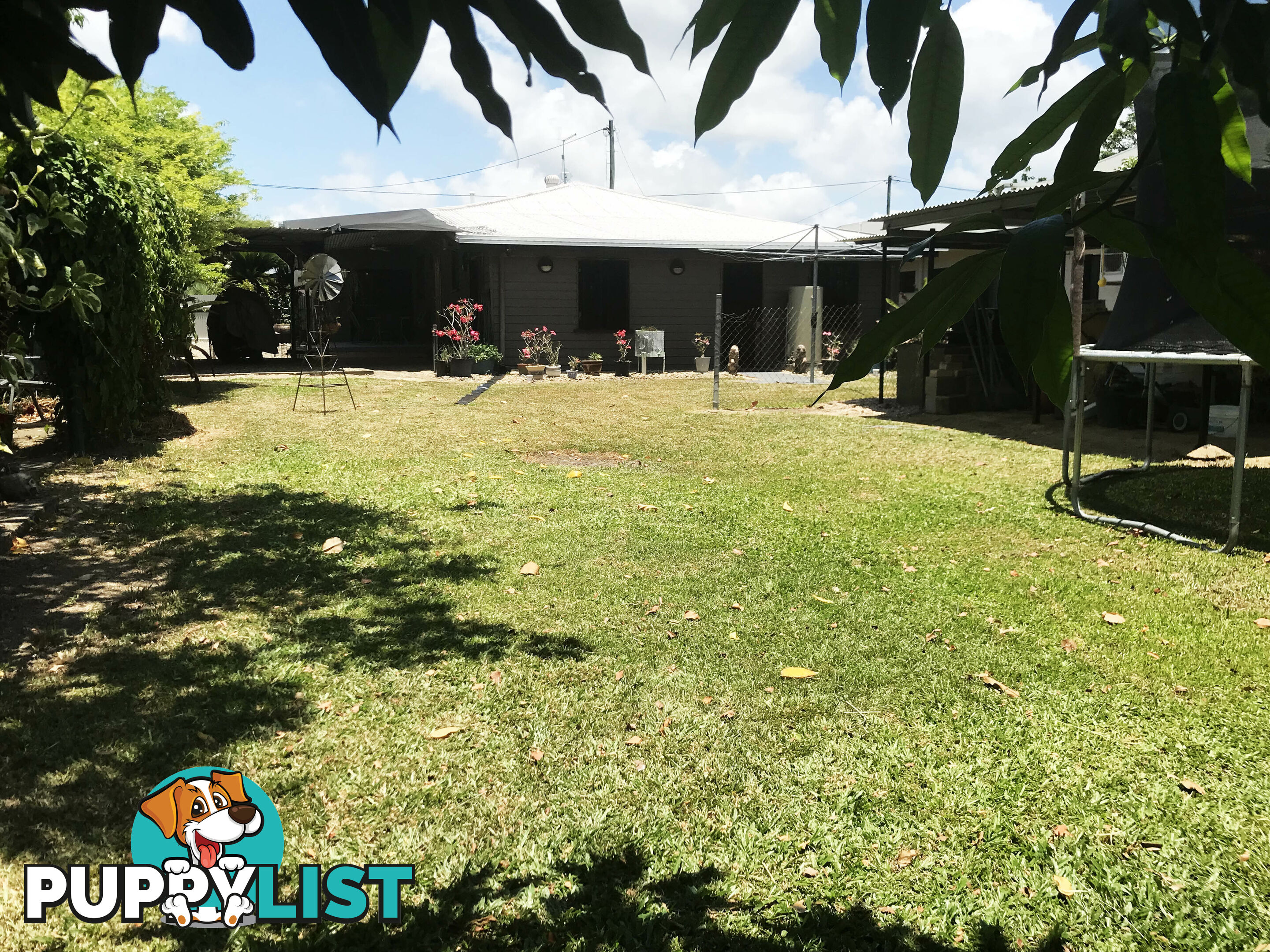 11 Ryrie St El Arish QLD 4855