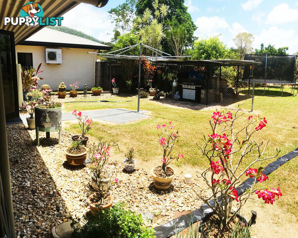 11 Ryrie St El Arish QLD 4855