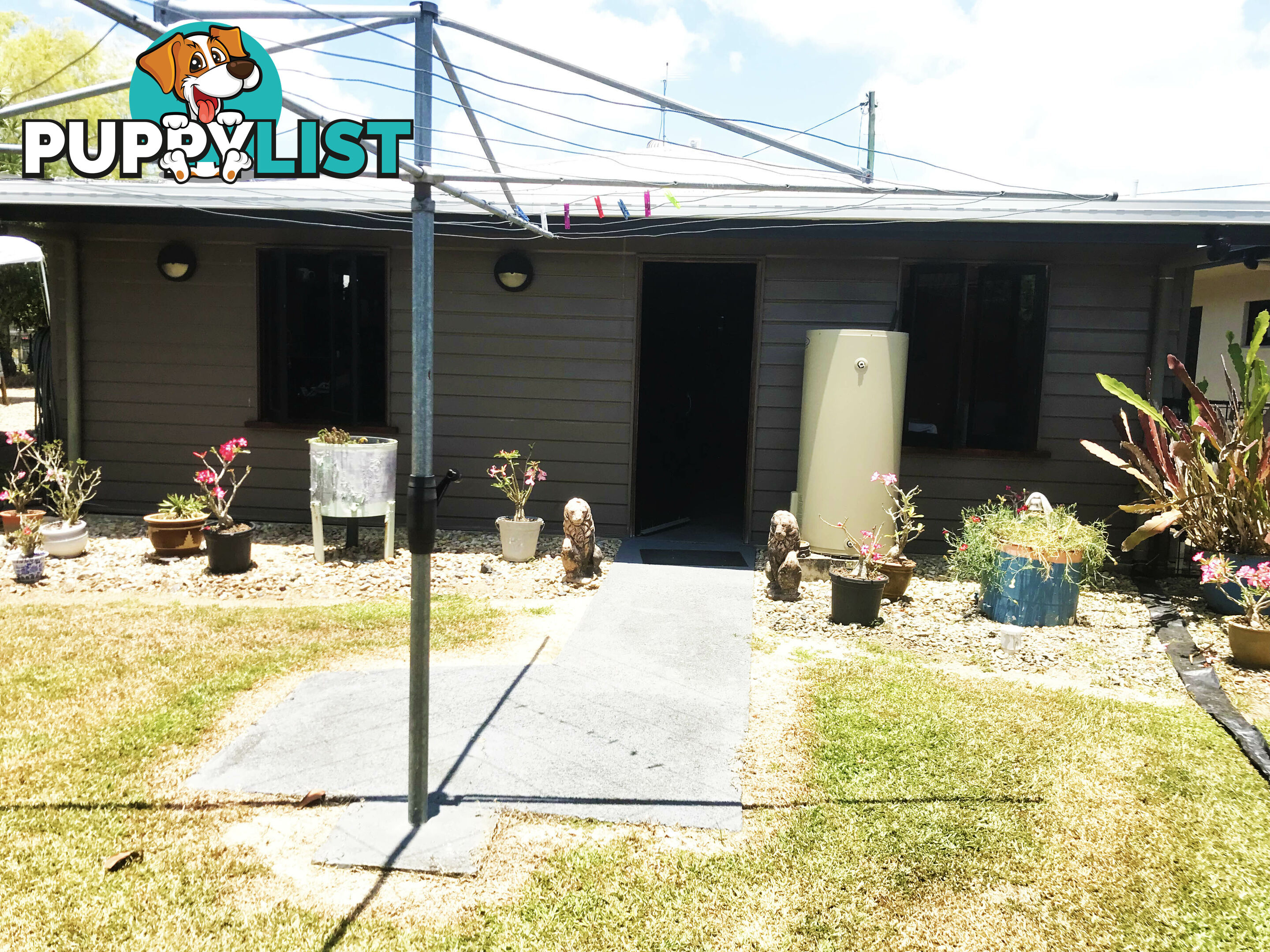 11 Ryrie St El Arish QLD 4855