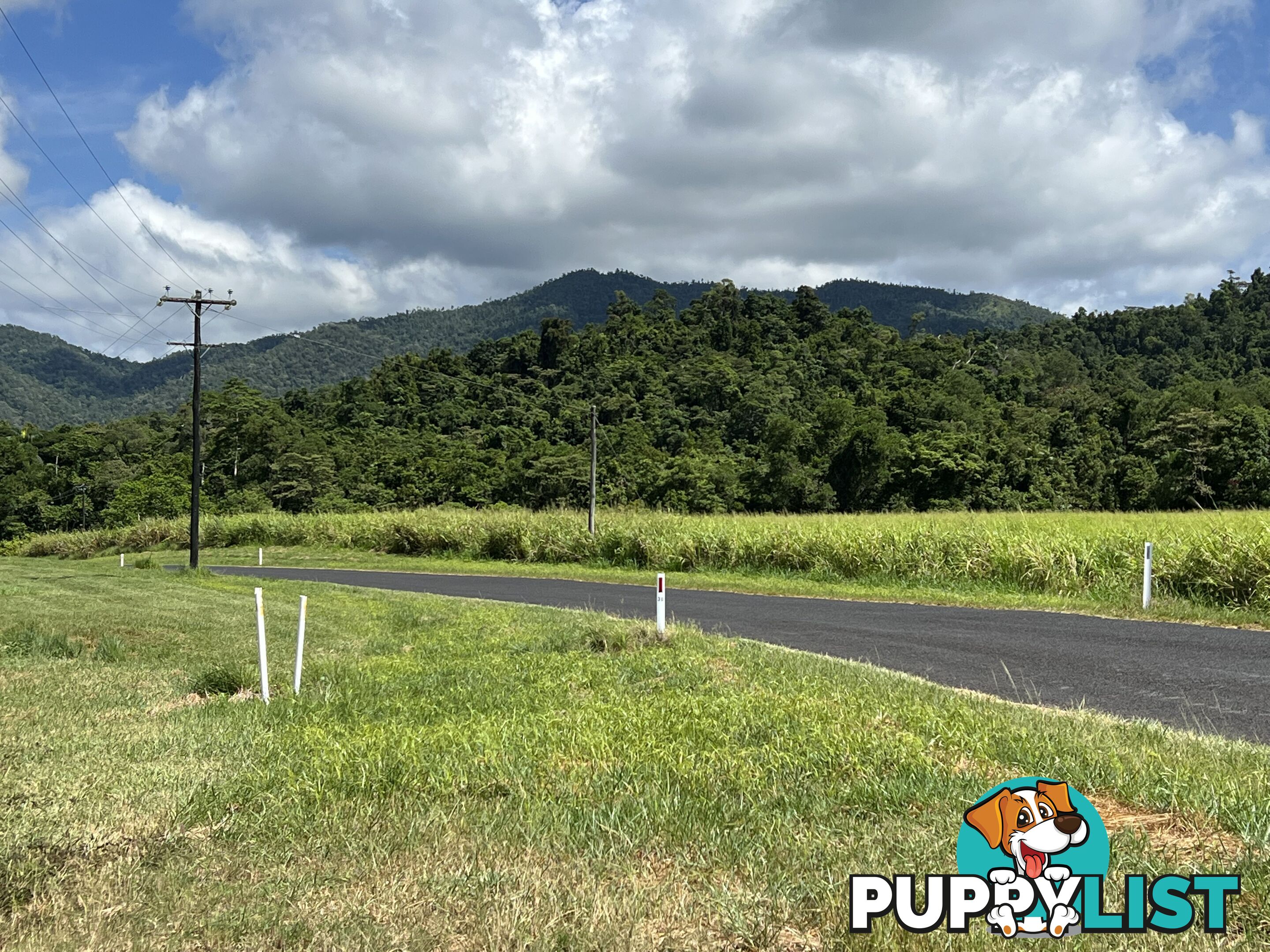 LOT 5 Old Tully Rd Djarawong QLD 4854