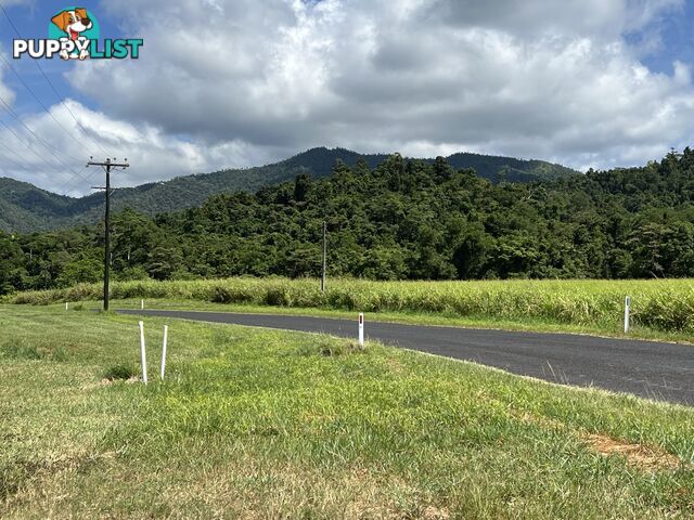 LOT 5 Old Tully Rd Djarawong QLD 4854