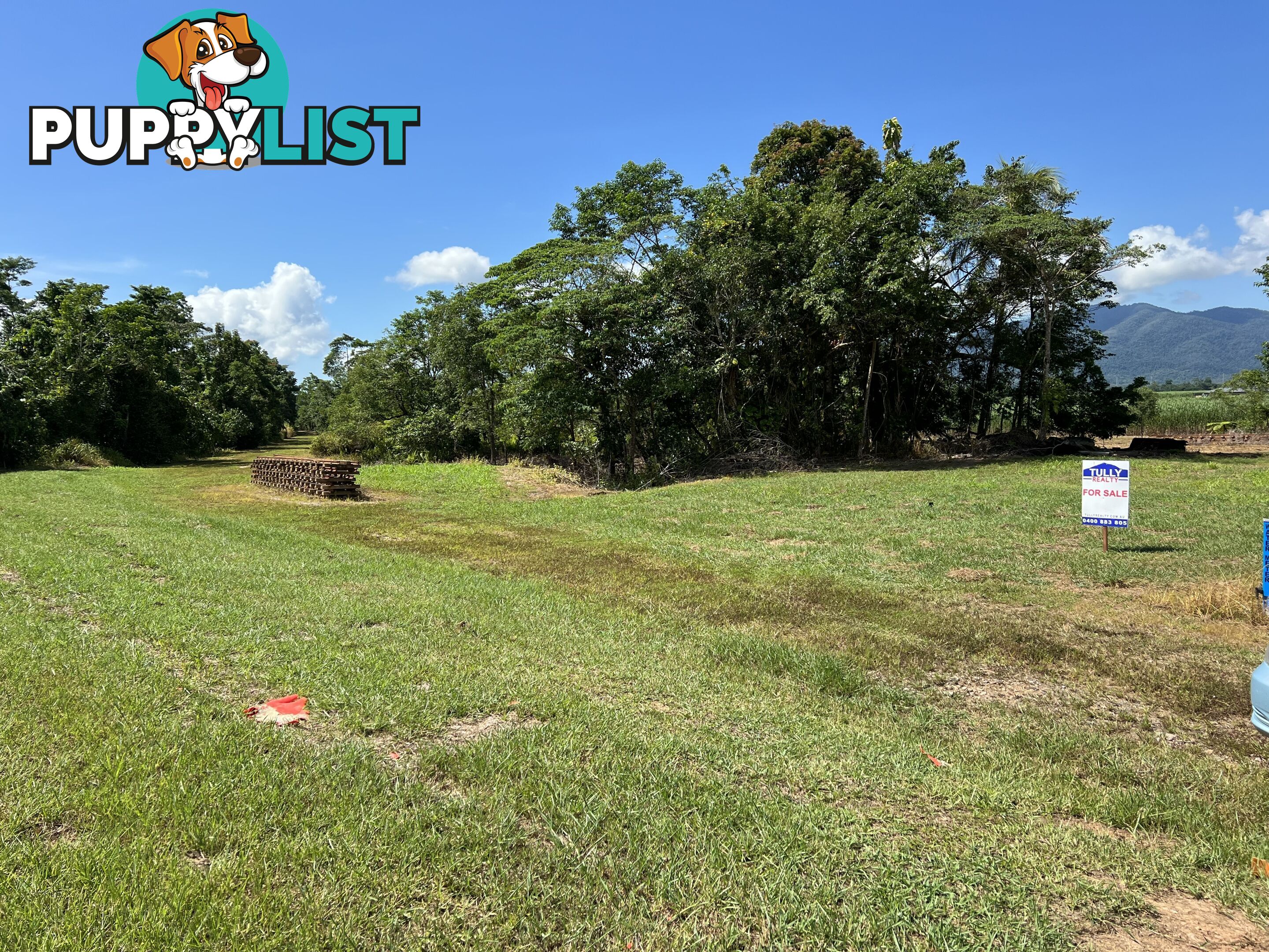 LOT 5 Old Tully Rd Djarawong QLD 4854