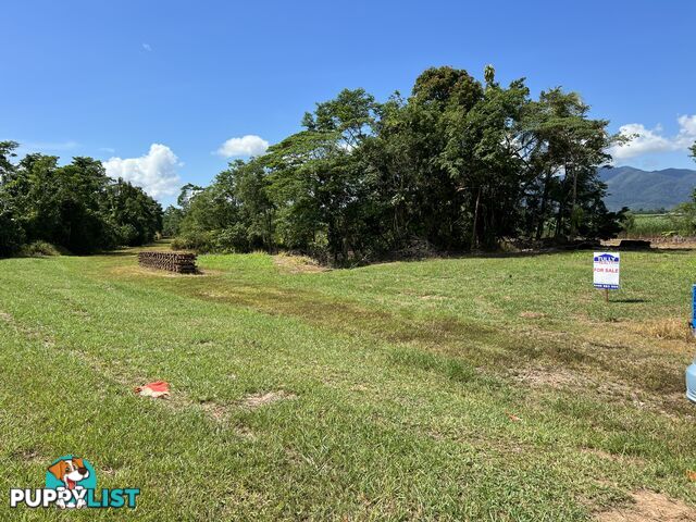 LOT 5 Old Tully Rd Djarawong QLD 4854