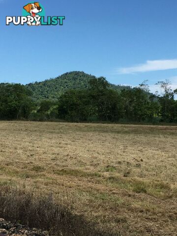 Lot 589 Old Telegraph Road East Feluga QLD 4854