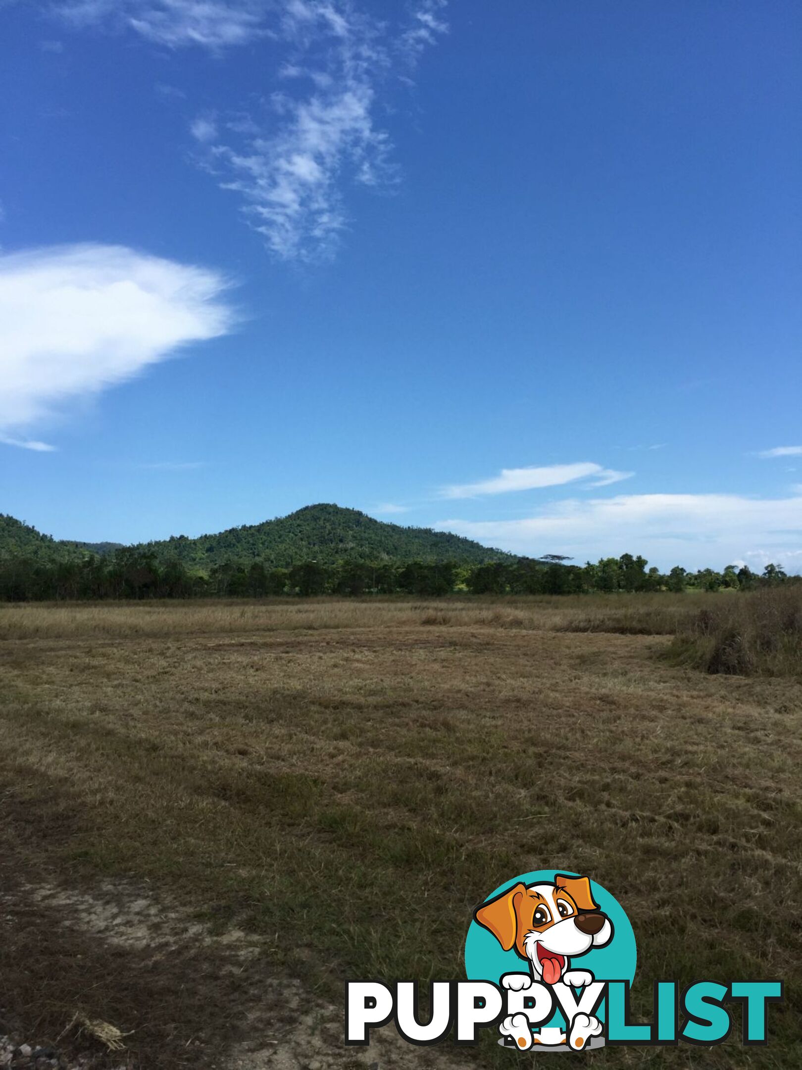 Lot 589 Old Telegraph Road East Feluga QLD 4854