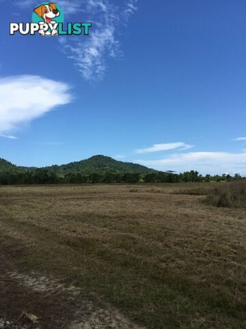 Lot 589 Old Telegraph Road East Feluga QLD 4854