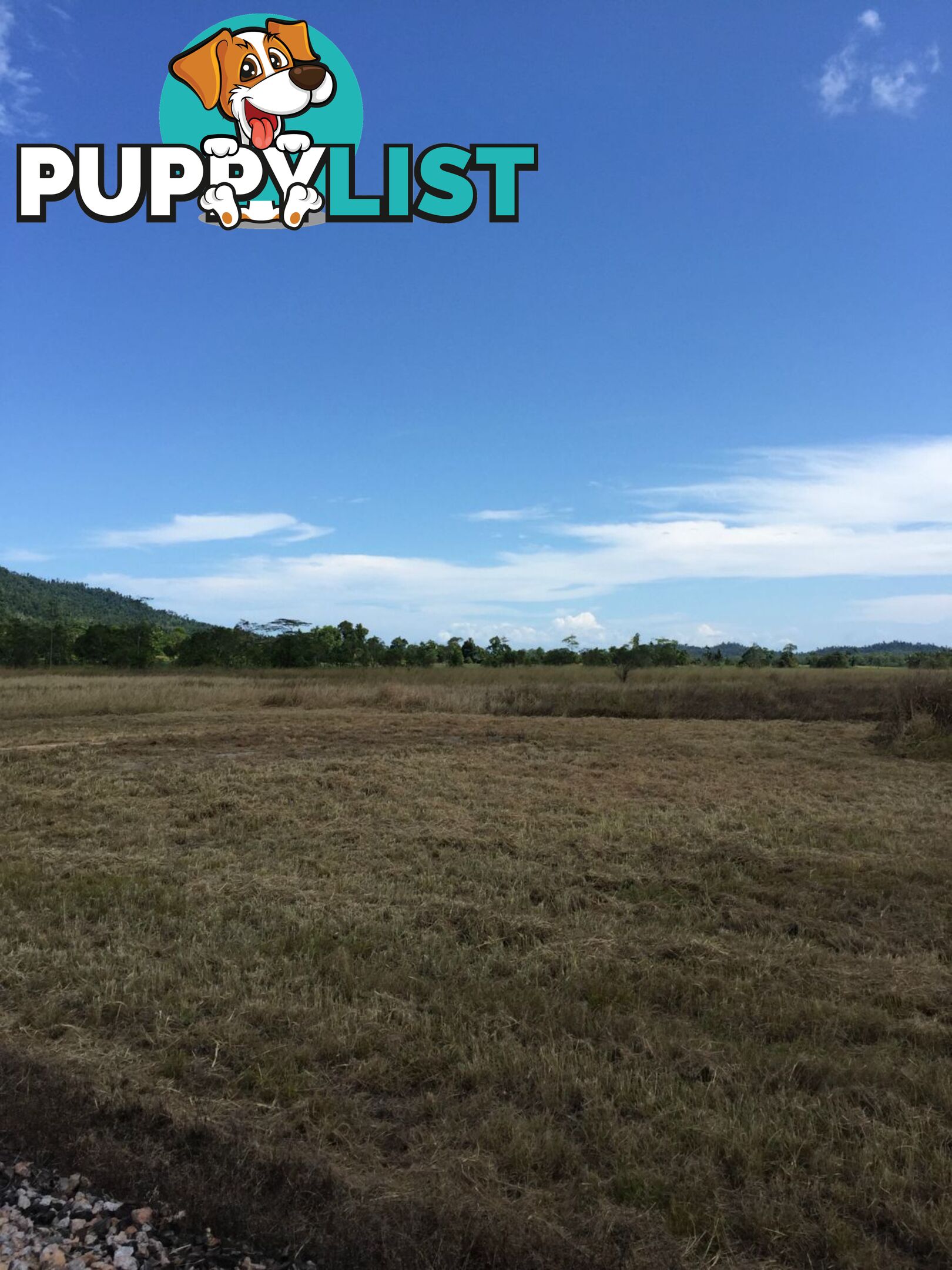 Lot 589 Old Telegraph Road East Feluga QLD 4854