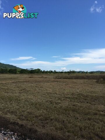 Lot 589 Old Telegraph Road East Feluga QLD 4854