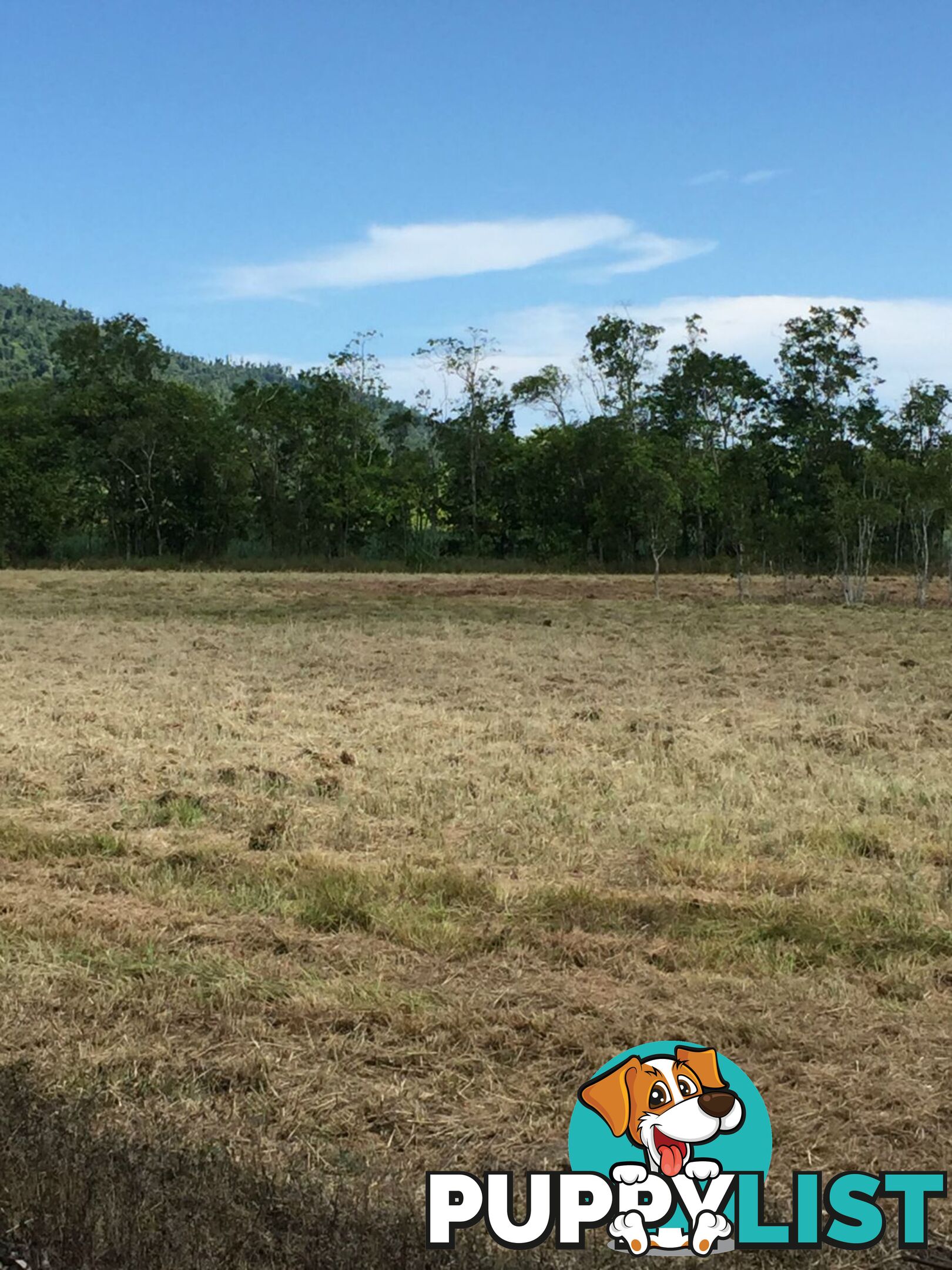 Lot 589 Old Telegraph Road East Feluga QLD 4854