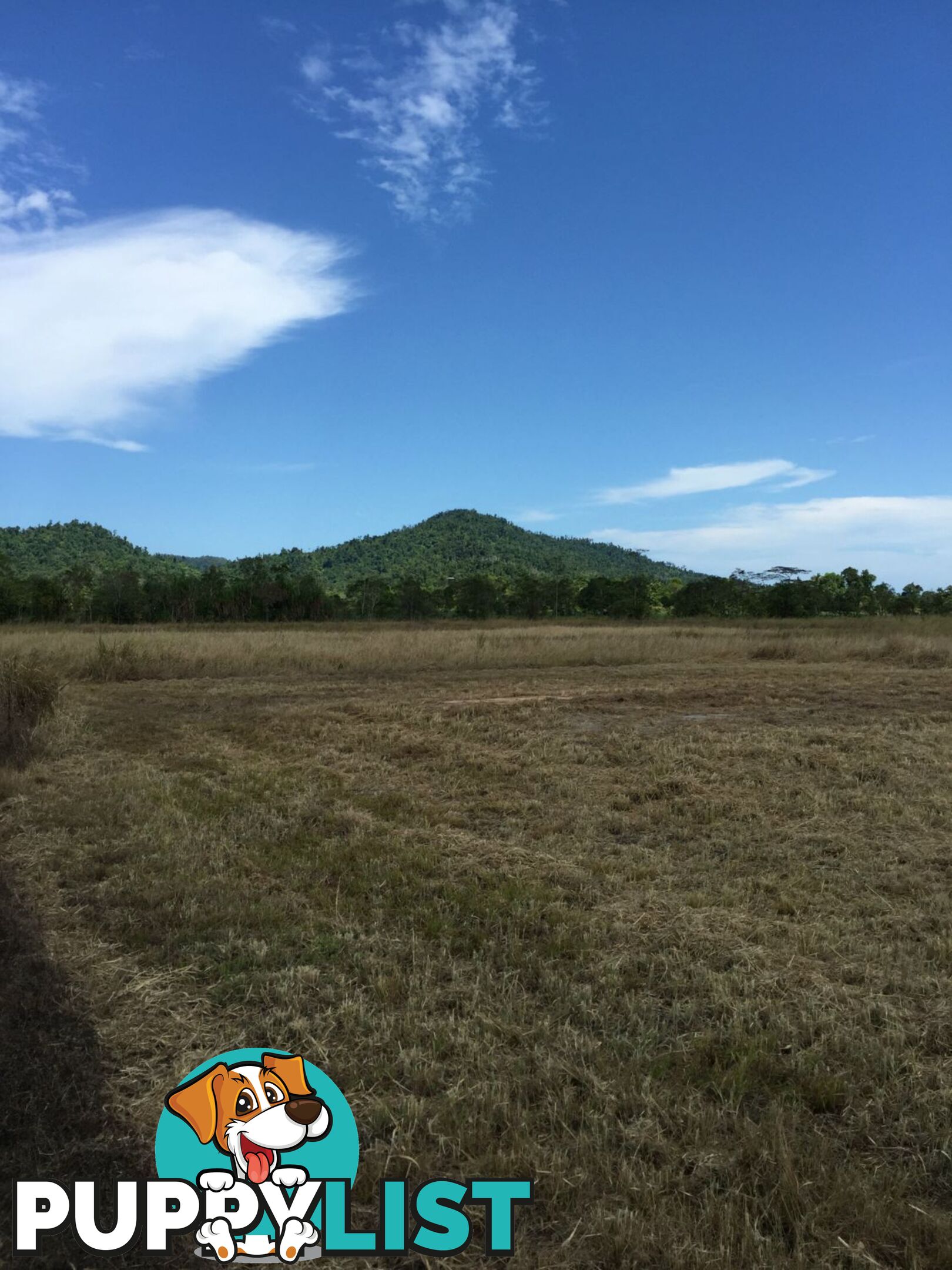 Lot 589 Old Telegraph Road East Feluga QLD 4854