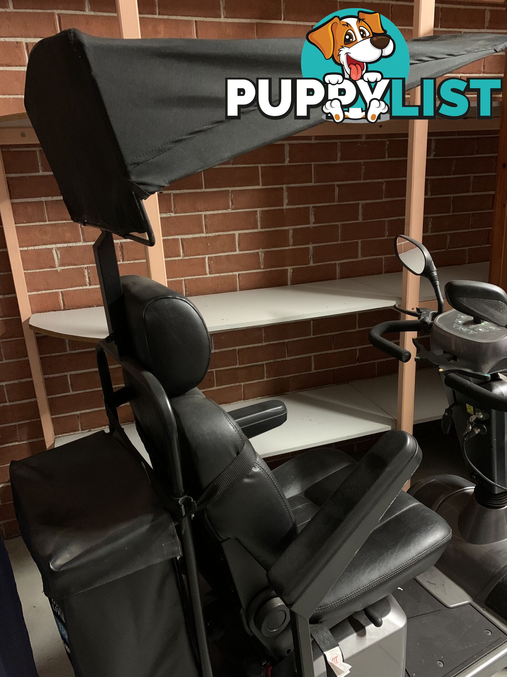 Sterling Mobility Scooter
