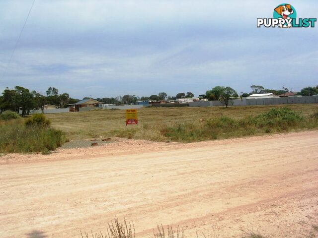 7 Wild Horse Street WILD HORSE PLAINS SA 5501