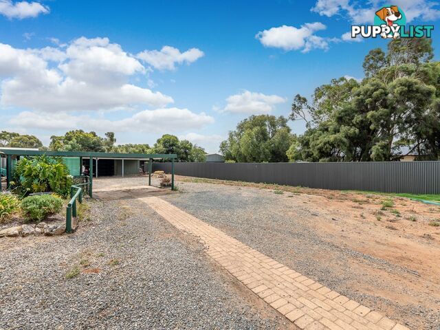 24 Hagen Street CALLINGTON SA 5254