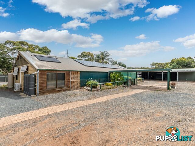 24 Hagen Street CALLINGTON SA 5254