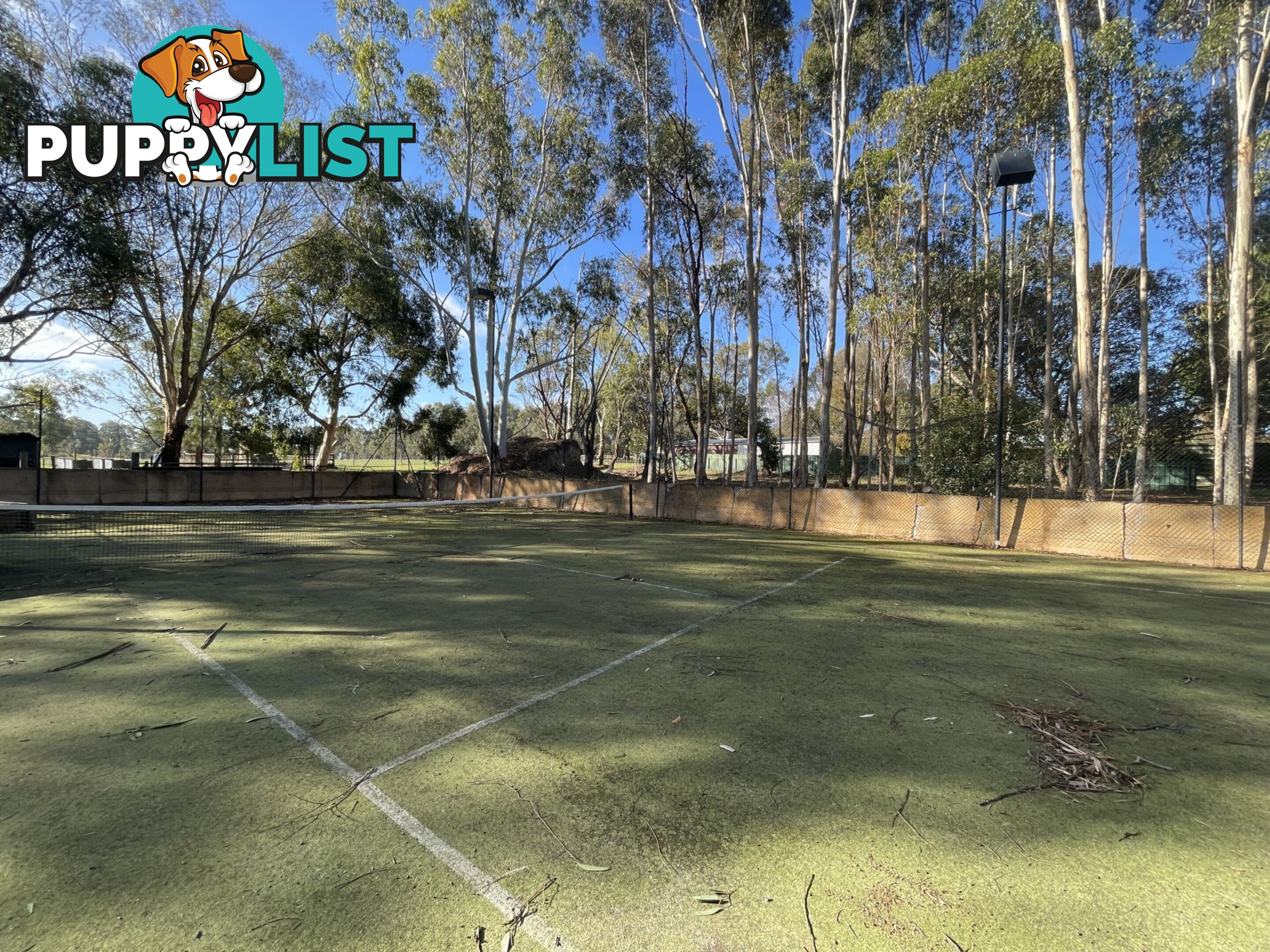 42 Battunga Road MEADOWS SA 5201